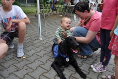 phoca_thumb_l_owicz-2013_3