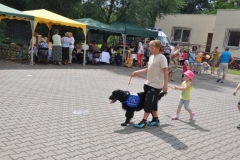 phoca_thumb_l_owicz-2013_9