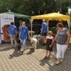 phoca_thumb_m_owicz-2013_0