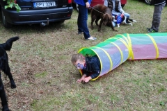 phoca_thumb_l_piknik-w-piotrkowie-trybunalskim_009