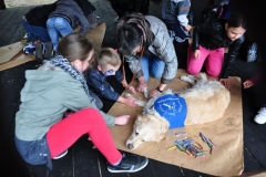 phoca_thumb_l_piknik-w-piotrkowie-trybunalskim_010
