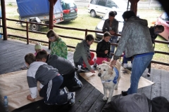 phoca_thumb_l_piknik-w-piotrkowie-trybunalskim_013