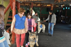 phoca_thumb_l_piknik-w-piotrkowie-trybunalskim_017