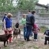 phoca_thumb_m_piknik-w-piotrkowie-trybunalskim_002