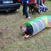 phoca_thumb_m_piknik-w-piotrkowie-trybunalskim_009