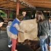 phoca_thumb_m_piknik-w-piotrkowie-trybunalskim_015