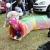 phoca_thumb_s_piknik-w-piotrkowie-trybunalskim_005