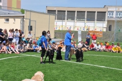 phoca_thumb_l_plantowa-17.05.2013_004