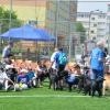 phoca_thumb_m_plantowa-17.05.2013_006