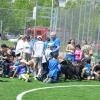 phoca_thumb_m_plantowa-17.05.2013_007