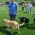 phoca_thumb_s_plantowa-17.05.2013_008