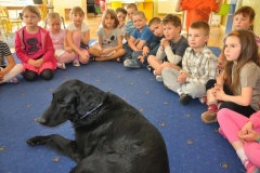 phoca_thumb_l_owicz-10.05.2012_001