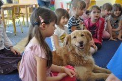 phoca_thumb_l_owicz-10.05.2012_003