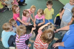 phoca_thumb_l_owicz-10.05.2012_022