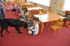 phoca_thumb_l_owicz-10.05.2012_023