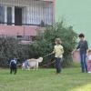 phoca_thumb_m_poegnanie-lata-2012_4