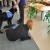 phoca_thumb_s_przedszkole-165_16