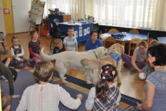 phoca_thumb_l_przedszkole-221_21