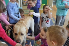 phoca_thumb_l_przedszkole-221_33