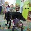 phoca_thumb_m_przedszkole-228_18
