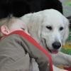 phoca_thumb_m_przedszkole-228_22