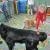 phoca_thumb_s_przedszkole-228_19