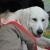 phoca_thumb_s_przedszkole-228_22