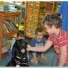 phoca_thumb_m_przedszkole-nr-40_11
