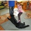 phoca_thumb_m_przedszkole-nr-40_4