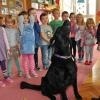 phoca_thumb_m_przedszkole-48_007