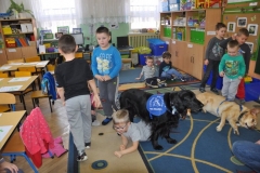 phoca_thumb_l_14.03.2016_027