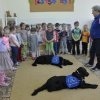 phoca_thumb_m_14.03.2016_034