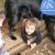 phoca_thumb_s_przedszkole-nr-7_024