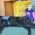 phoca_thumb_s_przedszkole-w-justynowie_003