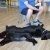 phoca_thumb_s_przedszkole-prywatne-kutno-23.05.2017_008