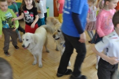 phoca_thumb_l_przedszkole-nr-7-w-piotrkowie-tryb_008