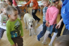 phoca_thumb_l_przedszkole-nr-7-w-piotrkowie-tryb_009
