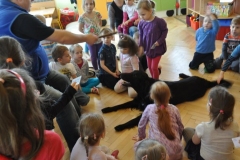 phoca_thumb_l_przedszkole-nr-7-w-piotrkowie-tryb_010