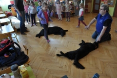 phoca_thumb_l_przedszkole-nr-7-w-piotrkowie-tryb_012
