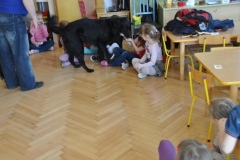 phoca_thumb_l_przedszkole-nr-7-w-piotrkowie-tryb_017