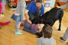 phoca_thumb_l_przedszkole-nr-7-w-piotrkowie-tryb_023