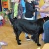 phoca_thumb_m_przedszkole-nr-7-w-piotrkowie-tryb_005