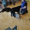 phoca_thumb_m_przedszkole-nr-7-w-piotrkowie-tryb_014