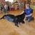 phoca_thumb_s_przedszkole-nr-7-w-piotrkowie-tryb_013