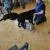 phoca_thumb_s_przedszkole-nr-7-w-piotrkowie-tryb_014