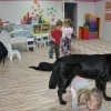 phoca_thumb_m_p-konstantynw-2016_03