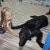phoca_thumb_s_p-konstantynw-2016_02