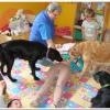 phoca_thumb_m_dsc04667