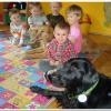 phoca_thumb_m_dsc04675