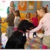 phoca_thumb_m_dsc04676